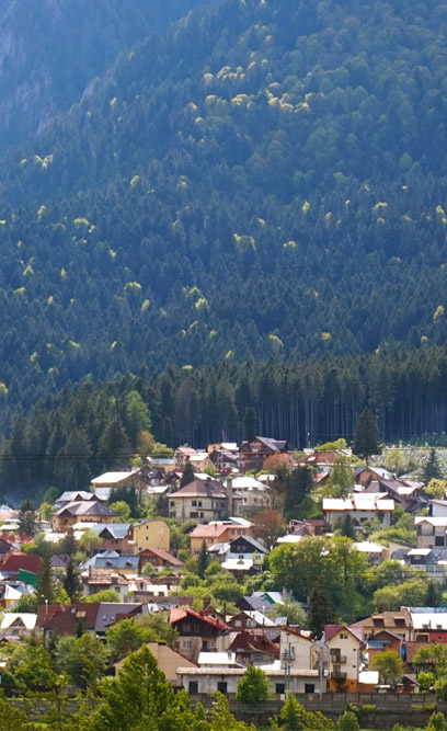 Bușteni